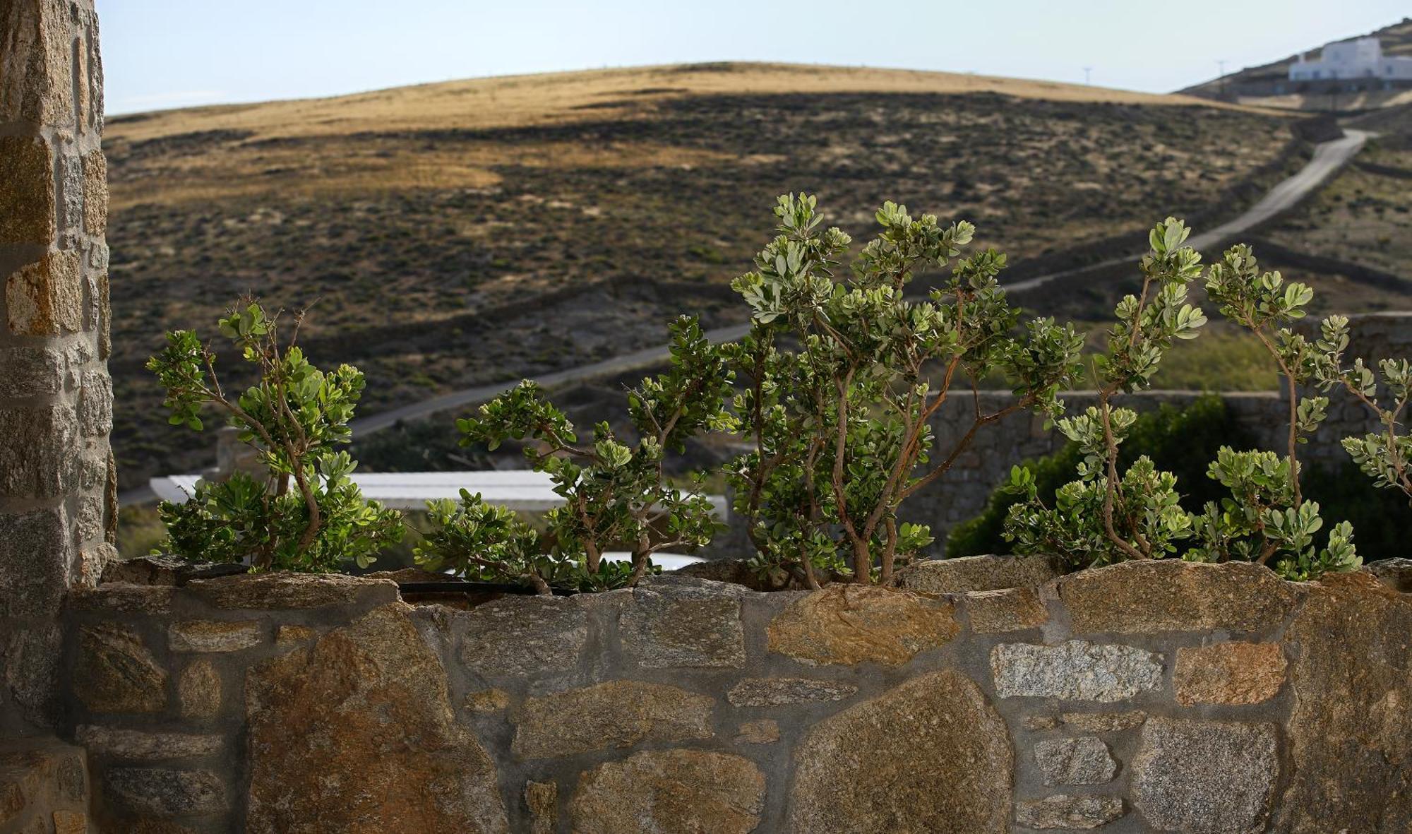 Vlia Mykonos * Kalafati